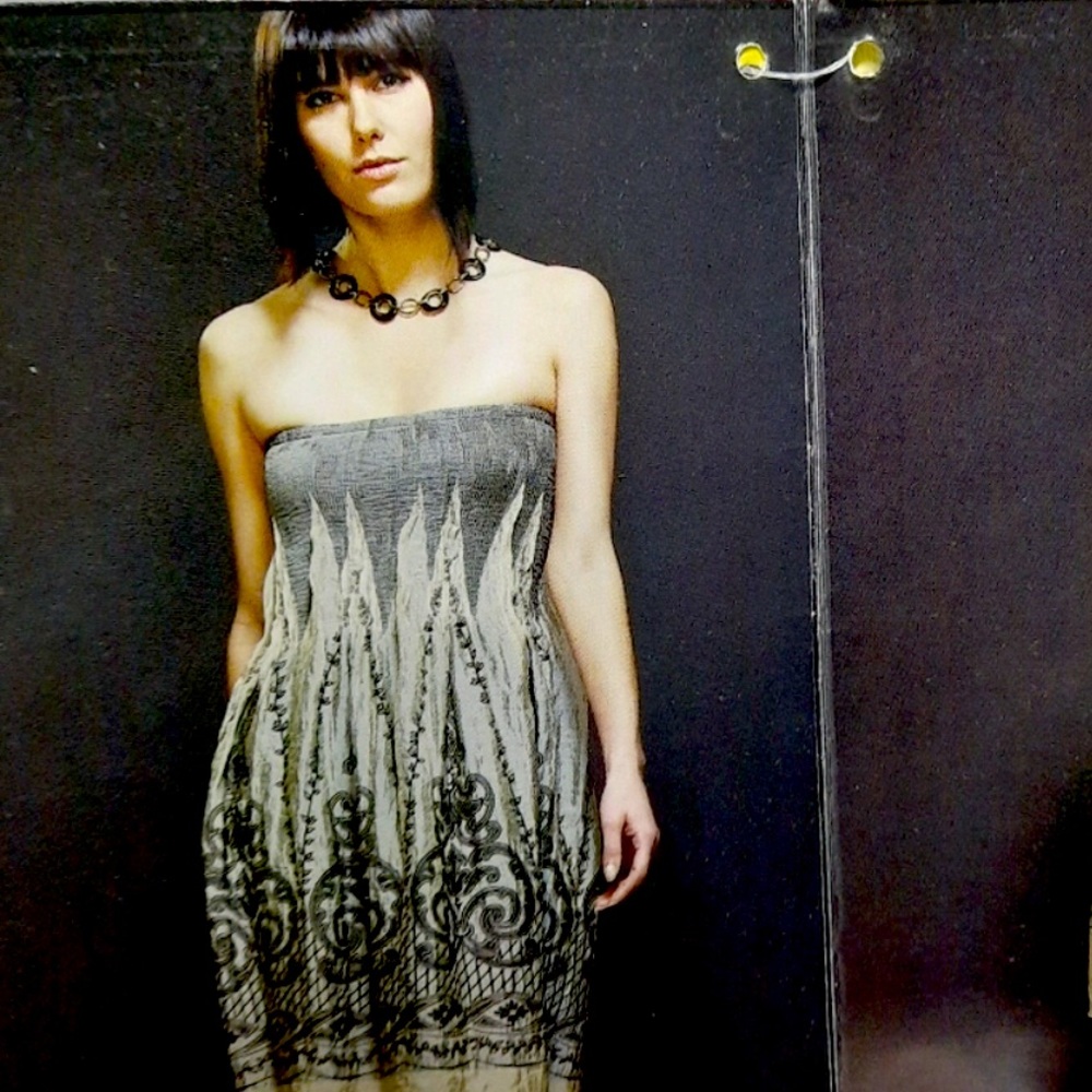 Lapis One Size Fits Most Iridescent Beige and Black Dress from Antropologie